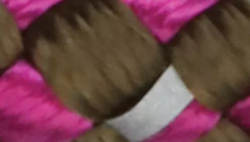 K9 Explorer® Reflective Braided Rope Snap Dog Leash Product image