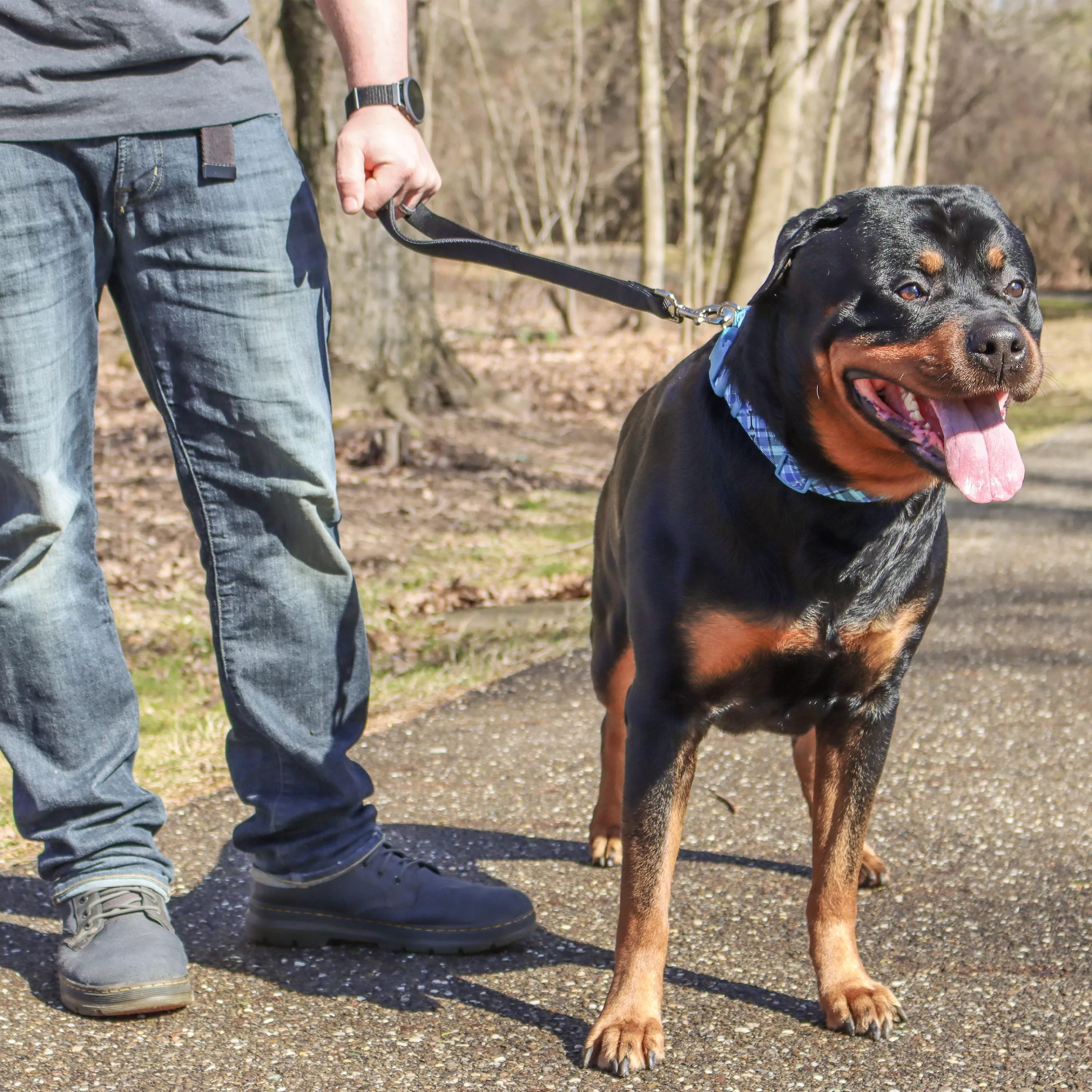 A dog with a short black and tan coat walks outdoors alongside a person whose lower body is visible. The dog is attached to a black double‑ply traffic leash made of heavy woven nylon with reinforced stitching. The leash is short and held near the dog's collar using a silver‑tone metal swivel bolt‑snap clasp. The background includes pavement, grass, and trees.