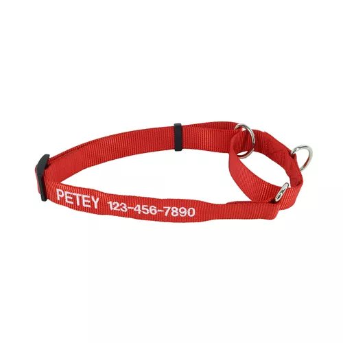 No! Slip® Martingale Adjustable Dog Collar - Personalized Product image