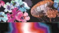 A swatch showing a vivid, glossy floral and delicate jellyfish collage. Large pink blossoms, blue flowers, and multi‑colored petals overlap against a dark backdrop. The lower portion transitions into a smooth, ombré reflective band with hues shifting between pink, magenta, and midnight blue. The whole swatch has a high‑gloss, saturated appearance, giving it a modern, iridescent quality.