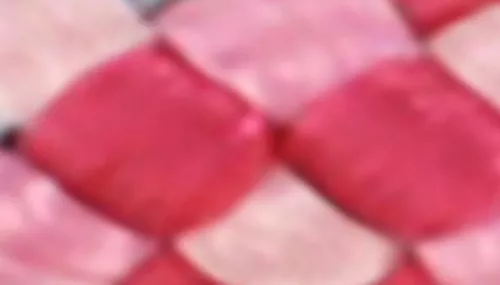 Li'l Pals® by Coastal® Posh Reflective Tri-Color Rope Dog Leash Product image