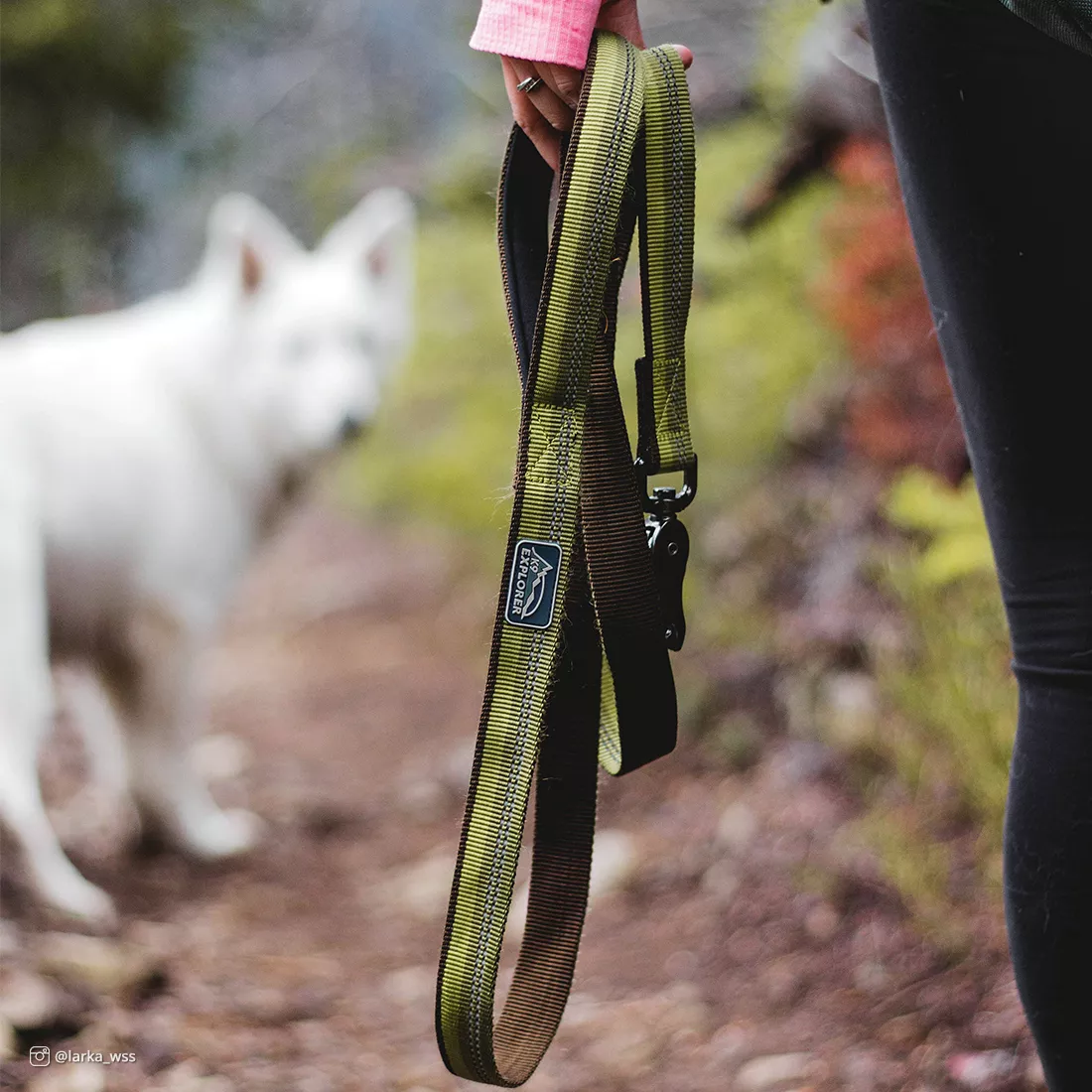 A person is holding a green reflective dog leash while standing outdoors on a grassy path. The leash features fern‑green woven webbing with reflective stitching and a black padded handle. A silver metal scissor‑snap clasp hangs downward near the dog. The background includes blurred greenery and a white dog walking ahead.