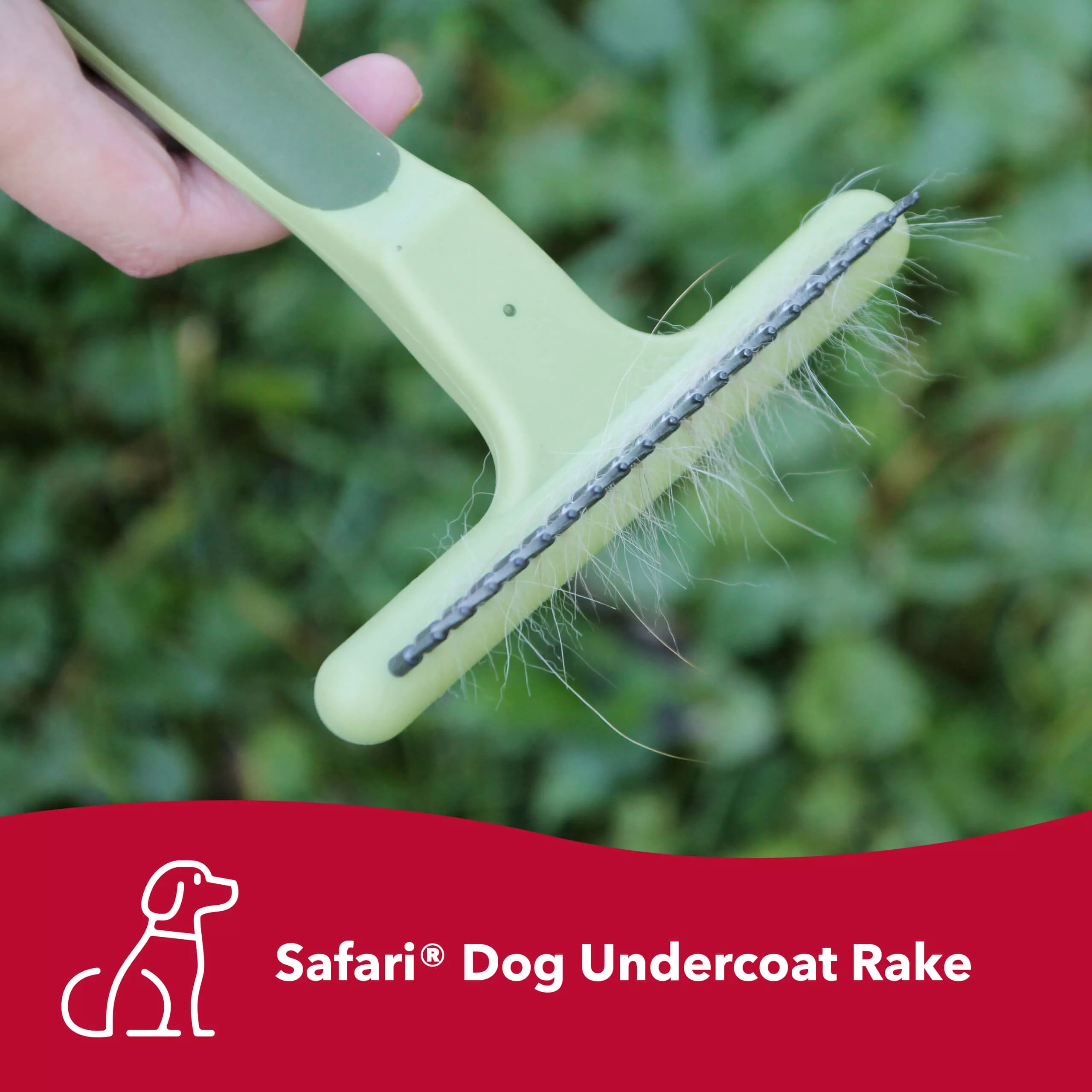 A lifestyle image of a person using a single row undercoat rake on a dog outdoors. The rake has a light green plastic body and a curved handle with darker green rubber grip inserts. The grooming head contains one straight row of long metal pins attached to a plastic bar. The dog has cream‑colored fur. The background shows green grass. A red banner along the bottom includes a white line‑art dog icon and the printed text “Safari® Dog Undercoat Rake.”