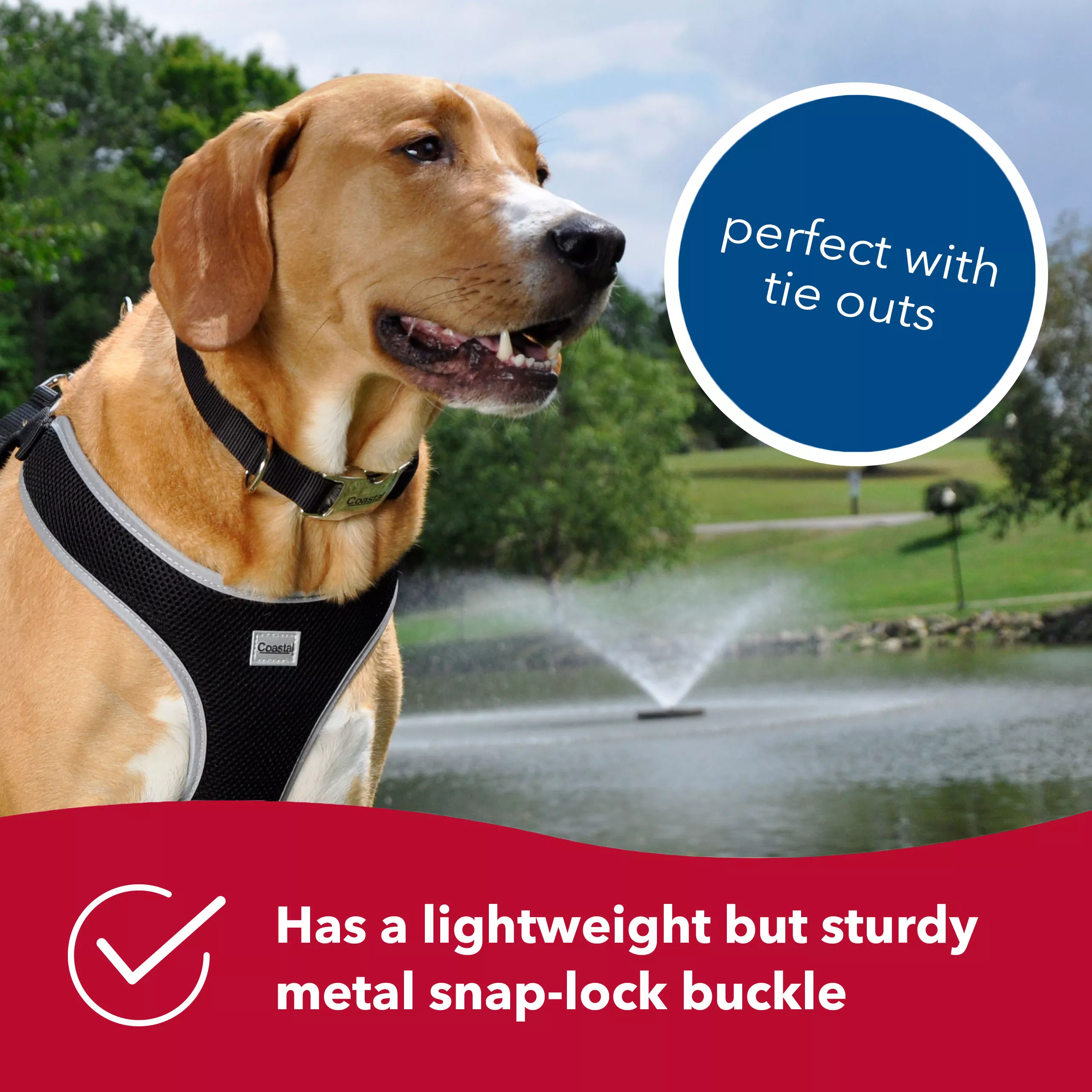 A tan, short‑haired dog stands outdoors near a pond with a fountain spraying water upward in the background. The dog wears a black woven‑nylon adjustable collar featuring a silver‑tone metal side‑release buckle and a silver‑tone D‑ring. A small circular blue badge near the buckle contains the text “perfect for tie outs” in white lettering.  Along the bottom edge, a red banner contains a white feather icon and the text “Has a lightweight but sturdy metal snap-lock buckle.”