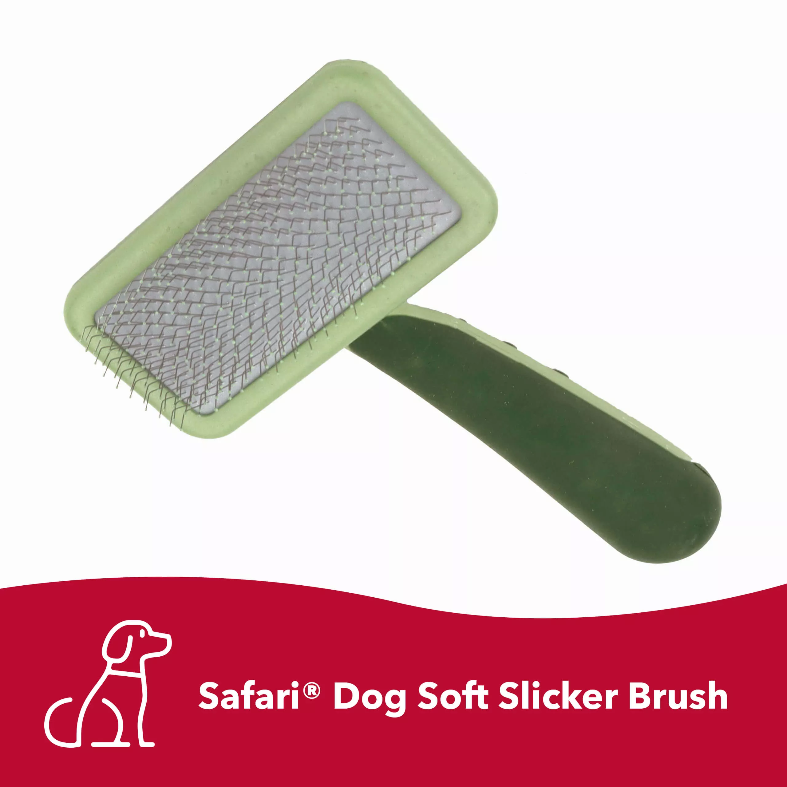 A soft slicker brush shown at a three‑quarter angle on a white background. The brush head is rectangular with rounded corners and contains thin metal pins set into a dark backing pad. The frame and handle are light green plastic. The handle has darker green rubber grip inserts. A red banner at the bottom displays a white dog icon and the printed text “Safari® Dog Soft Slicker Brush.”