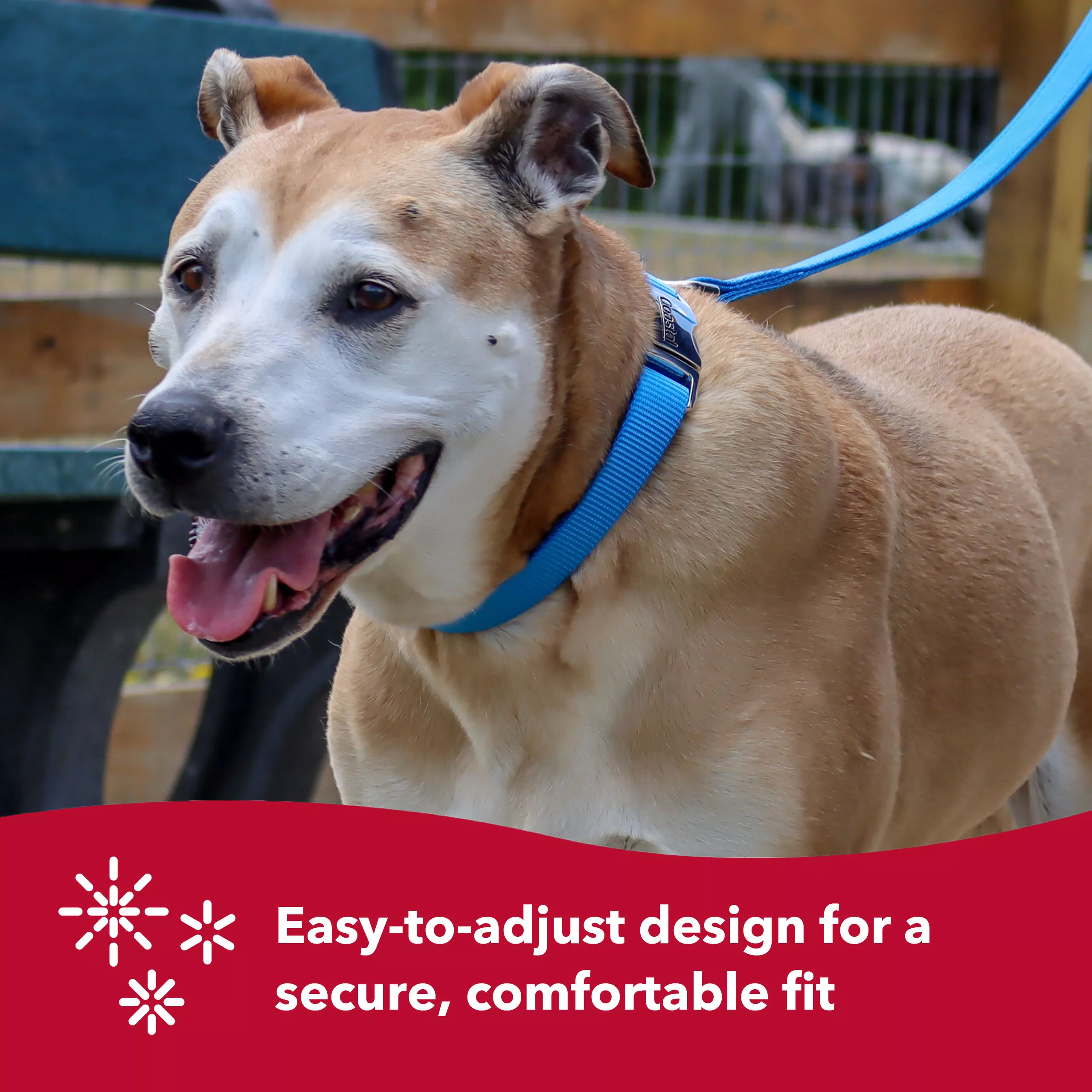 A lifestyle photograph shows a dog wearing an adjustable dog collar with a metal buckle in a bright blue lagoon color. A matching blue leash is attached. The dog is standing outdoors, looking forward. The collar appears flat and smooth with a woven texture. At the bottom of the image, a red banner contains white printed text reading “Easy‑to‑adjust design for a secure, comfortable fit”, accompanied by small white snowflake‑style icons.